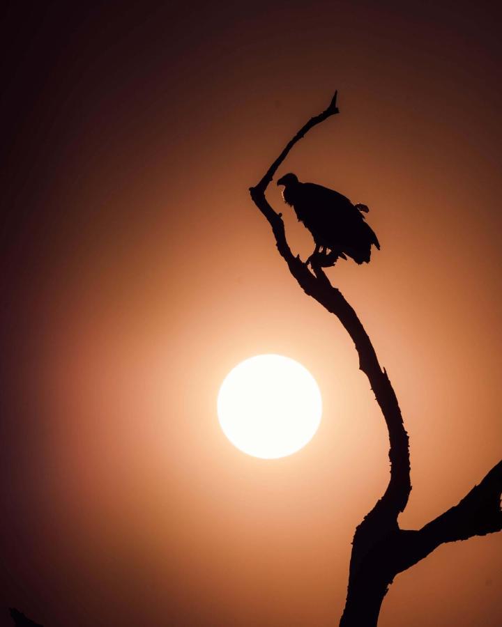 Maninghi Lodge Balule Game Reserve Bagian luar foto