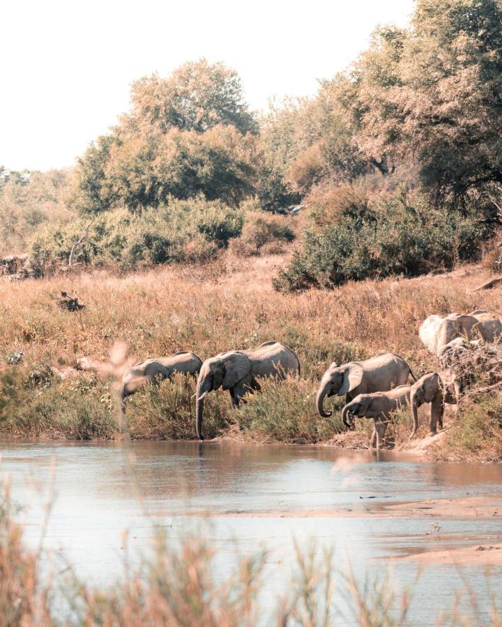 Maninghi Lodge Balule Game Reserve Bagian luar foto