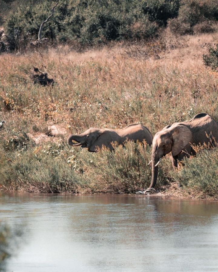 Maninghi Lodge Balule Game Reserve Bagian luar foto