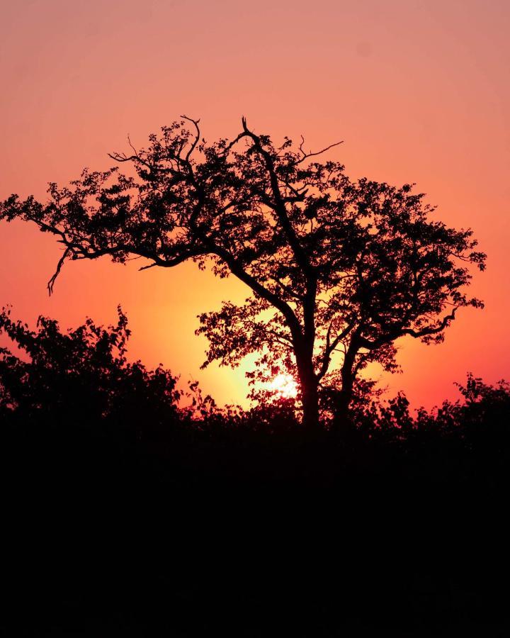 Maninghi Lodge Balule Game Reserve Bagian luar foto