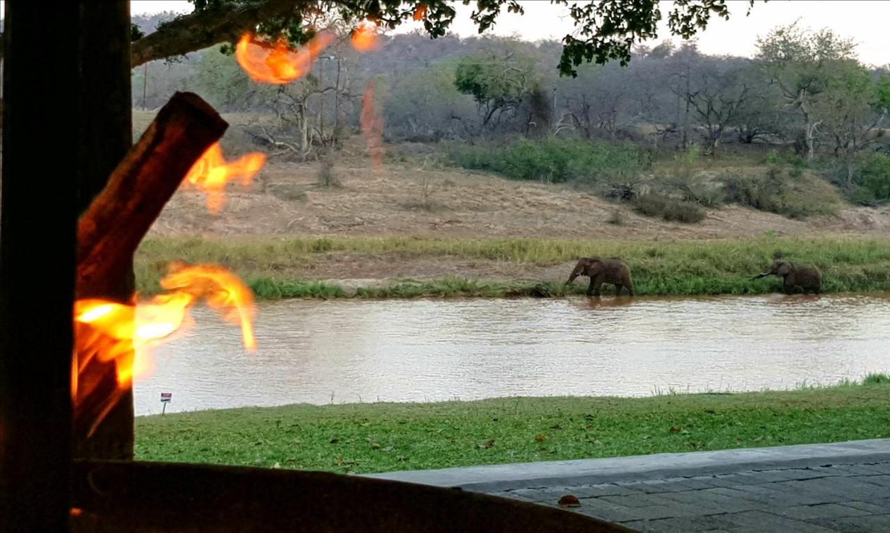 Maninghi Lodge Balule Game Reserve Bagian luar foto